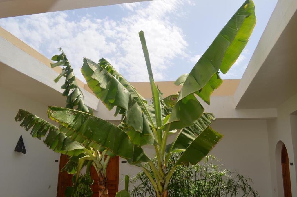 Casa Naima Ida Ougourd Exterior foto