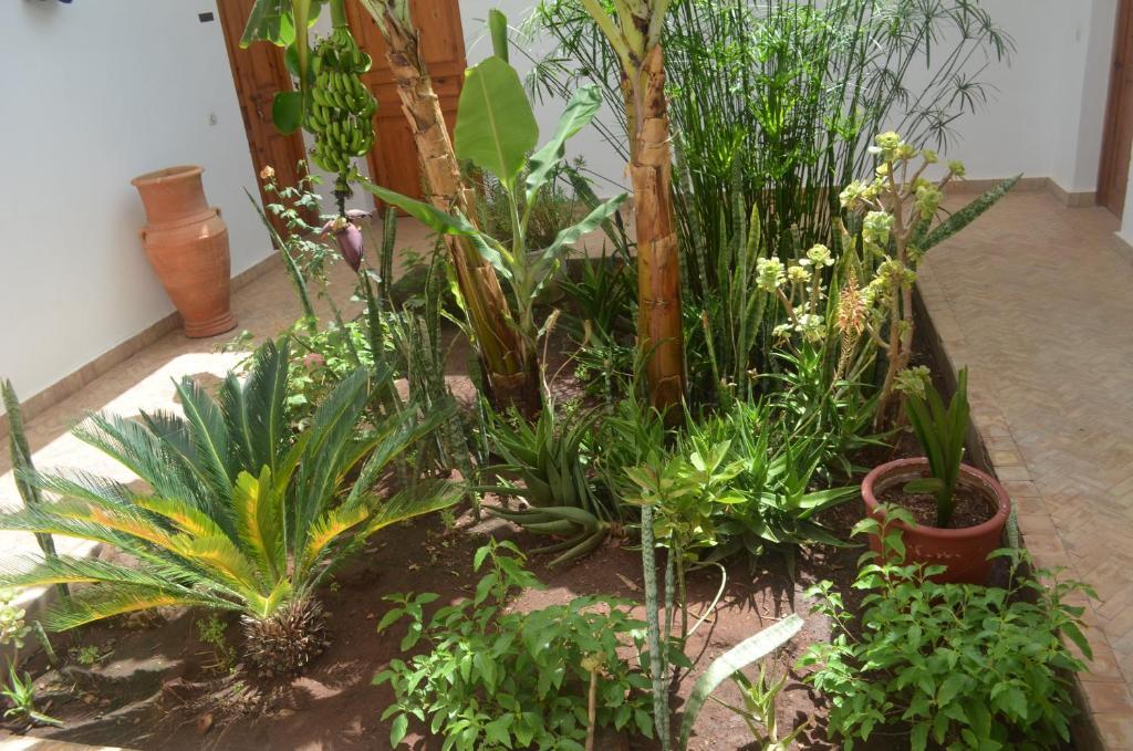 Casa Naima Ida Ougourd Exterior foto