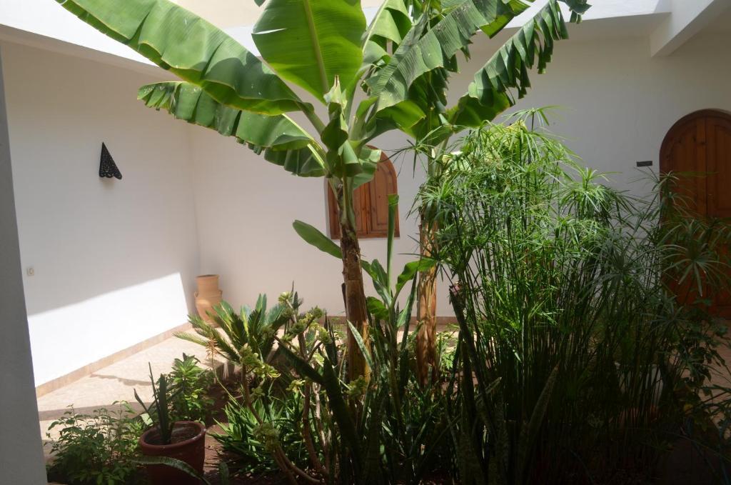 Casa Naima Ida Ougourd Exterior foto